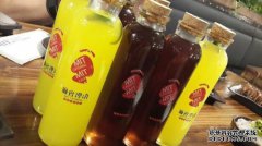 在20世纪90年代，五种流行的“硬核”饮料，所有