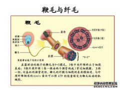 对上海的防守有好处吗？明年我们将拥有6100万欧