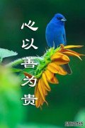 尽管许多人日夜都在努力工作，为什么许多人仍