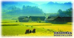 烧烤的味道总是在我的家里抽烟。这就是幸福的