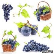 生于葡萄并“死在头上”，不能早日一起吃，以