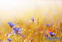 苦，当然，你好，是不是一个星座，不要抱怨，