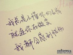 第九架飞机非常激动，以至于军迷们兴奋不已：