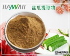 桉树提取物101桉树粉浓缩物