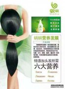 微型企业必须看到美丽的白色微型企业如何使成