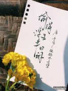 偷了半天，抓了一些小鱼排毒