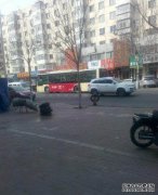 【哈哈市道里区民安社区，哈哈市一半，民安市