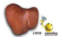 什么是梅毒？什么是梅毒？