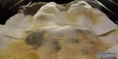 5种消除霉菌的方法