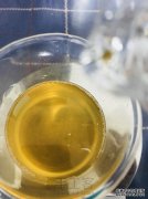 双飞人文：什么是柠檬固醇？包含高性能驱蚊剂