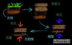 想买很多煤炭吗？有没有可以出售的在线平台？
