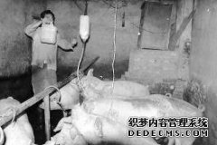 我家后面十米处有一个旧坟墓。小时候，里面有