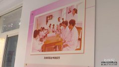 [光荣七年燕赵新秀展]塔圆庄：智慧农业扭转新生