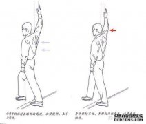 如何纠正前颈倾斜