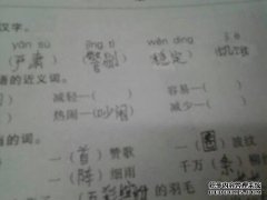 什么是向后同义词？