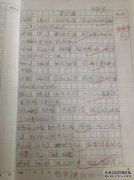 使用了什么及其目的。