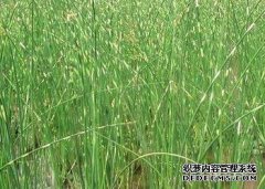 一幢小楼很寂寞，月亮很难捉住，也很难弯曲