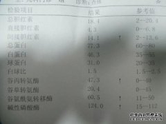 什么是正常的丙氨酸氨基转移酶？
