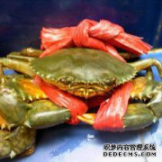 [蓝蟹和蟹膏的区别]