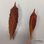 吞下细胞核后，该人被穿孔，伤口达到10厘米。