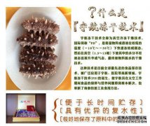 什么是FD冷冻干燥技术？