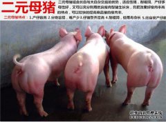 体重超过6公斤吗？例如，谢谢。
