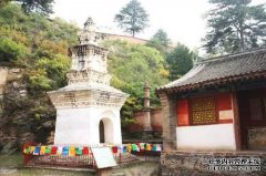 IV是一个国家