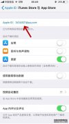 IOS系统是否仅使用CF来使用V分割P An N？