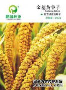 广州水电集团
