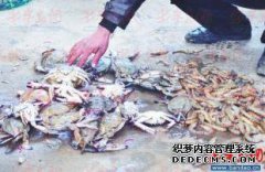 [用于水产养殖的鱼类药物的长期供应]杀死鱼网的