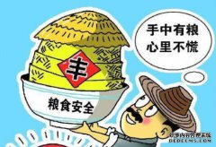 亚洲各地的考虑因素：手头上的食物，内心没有