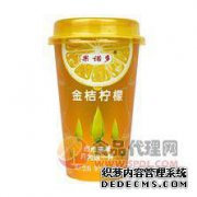 Gonado蜂蜜汁金橘柠檬汁饮料400ml