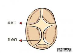 婴儿深蹲的标准门尺寸